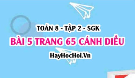 Bài 5 trang 65 Toán 8 Tập 2 Cánh Diều